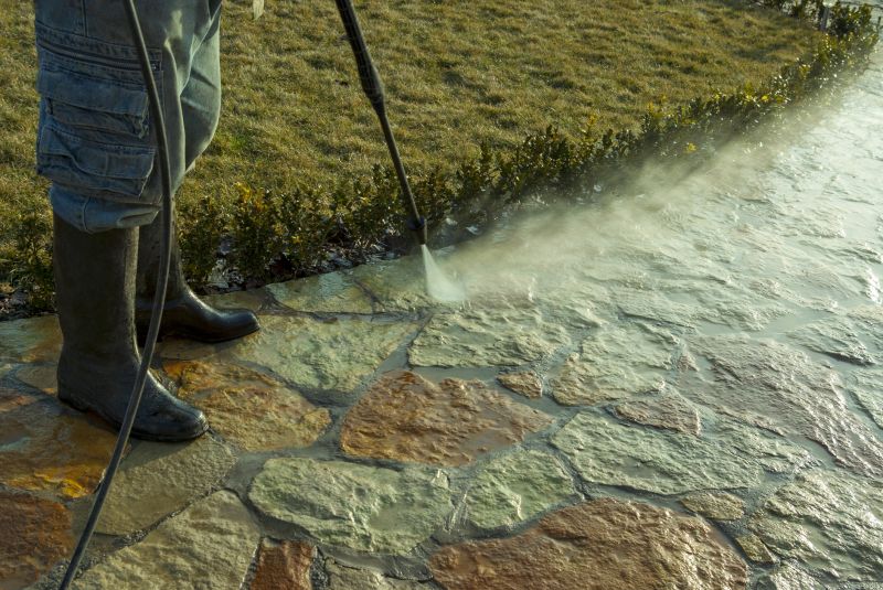 Top Rated Products for Pathway Removal