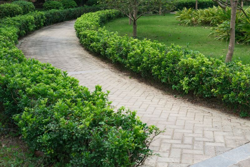 Pathway Removal