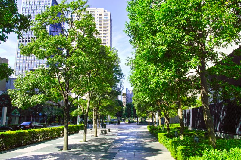 Completed Pathway Removal